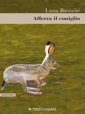 cover image of Afferra il coniglio